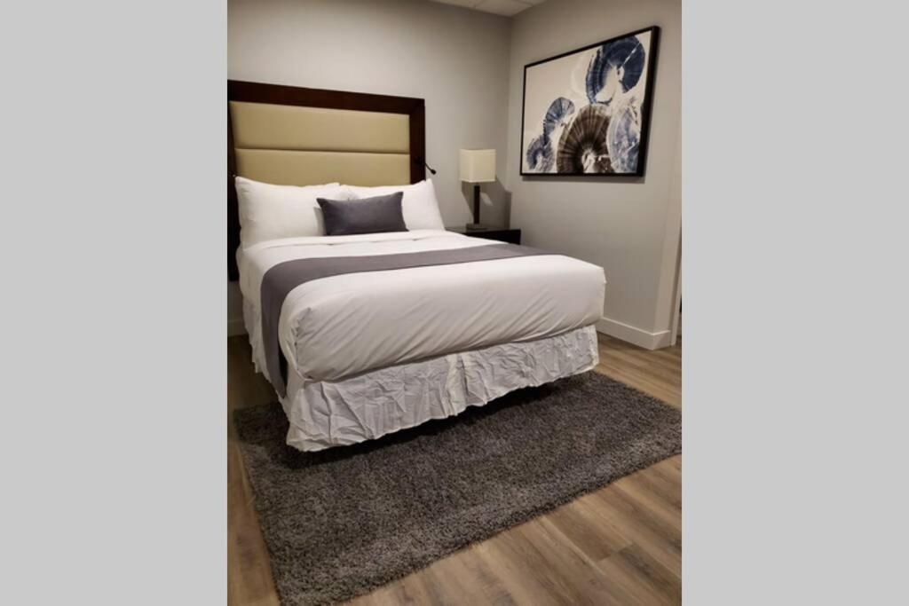 Cozy Sweet Studio #6, 10 Min To D.T. Ottawa جاتينو المظهر الخارجي الصورة